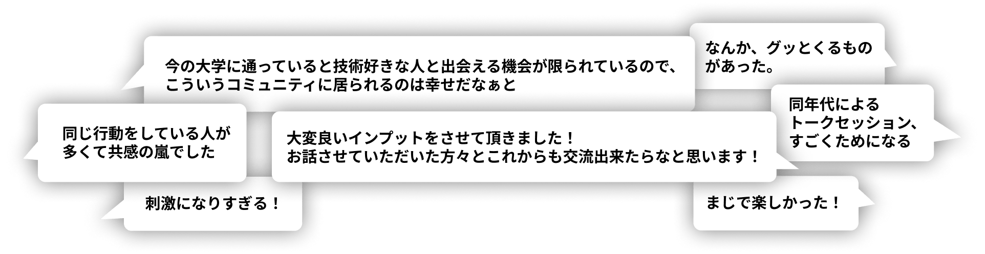 昨年の参加者の声