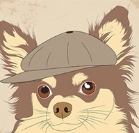 スピーカーのアイコン画像